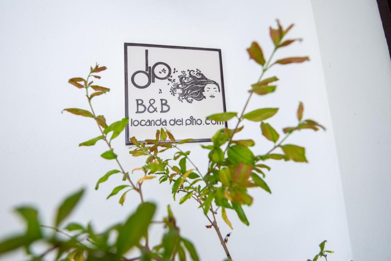 Bed & Breakfast Del Pino Marina di Ginosa