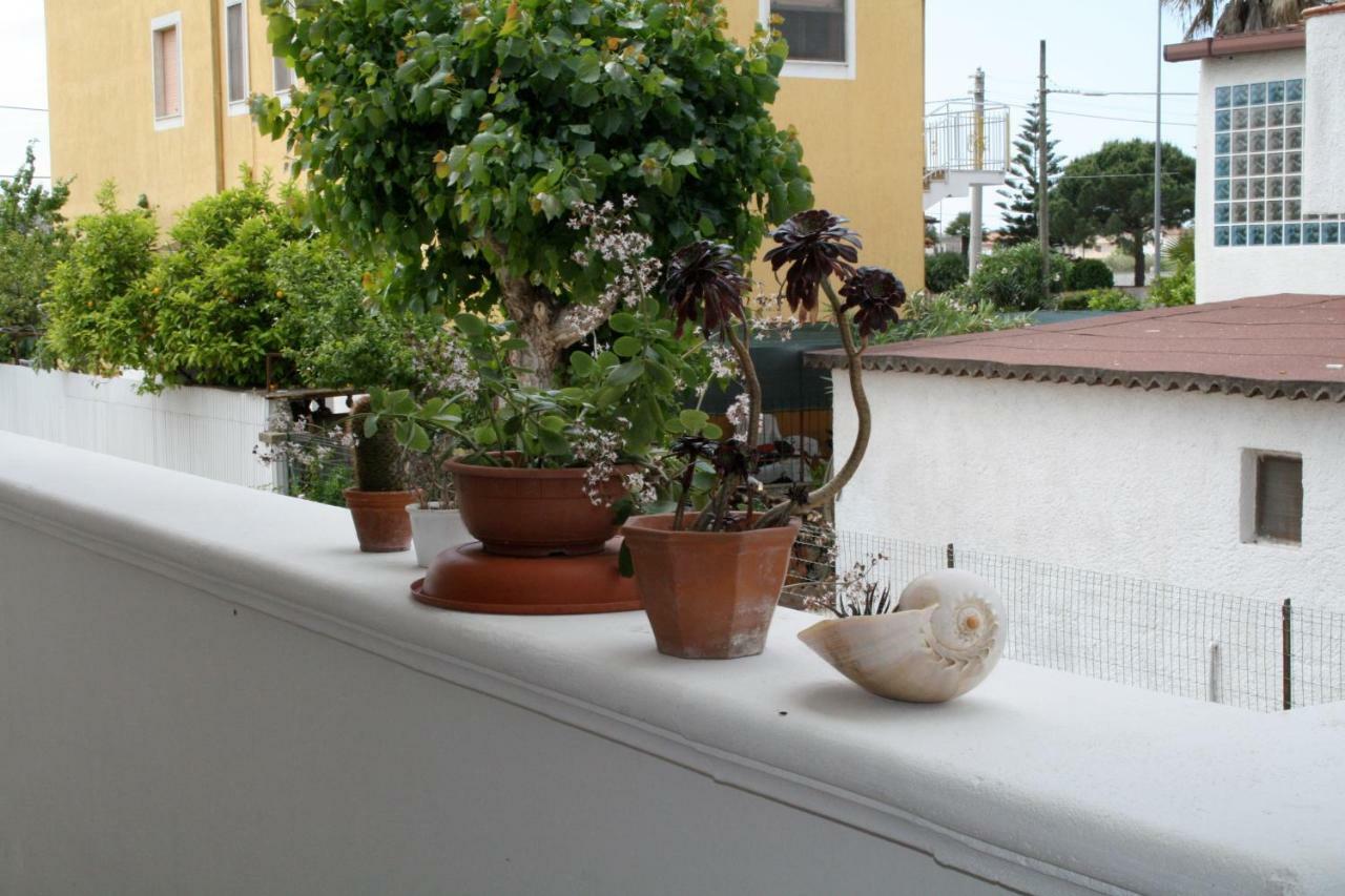 Bed & Breakfast Del Pino